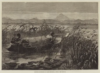 Chasse aux Oiseaux Aquatiques sur le Lac Mirambala, Afrique